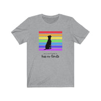 Acceptance Has No Limits Jersey Tee Grey t-shirt  with a black dog sitting in front of 7 horizontal lines  in the rainbow colors with the phrase Acceptance has not limits underneath.